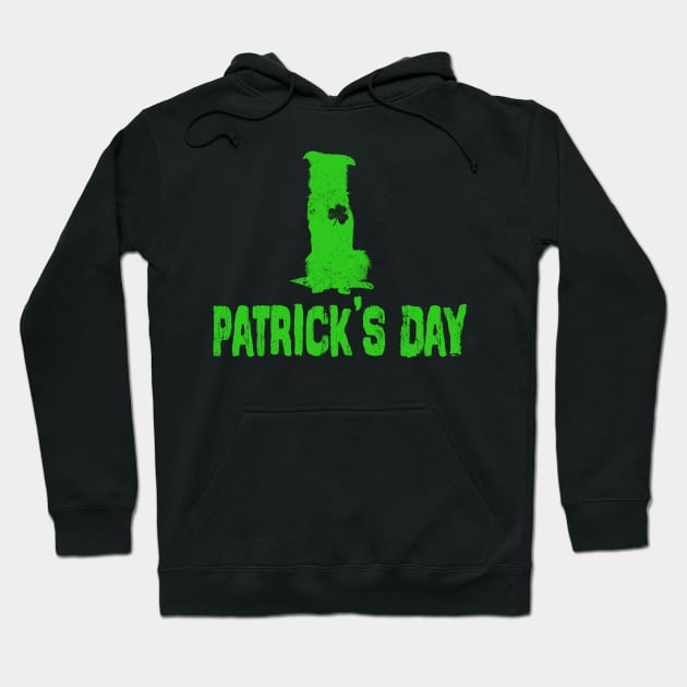 Border collie Irish Clover St Patrick Day Dog Hoodie by cedricchungerxc